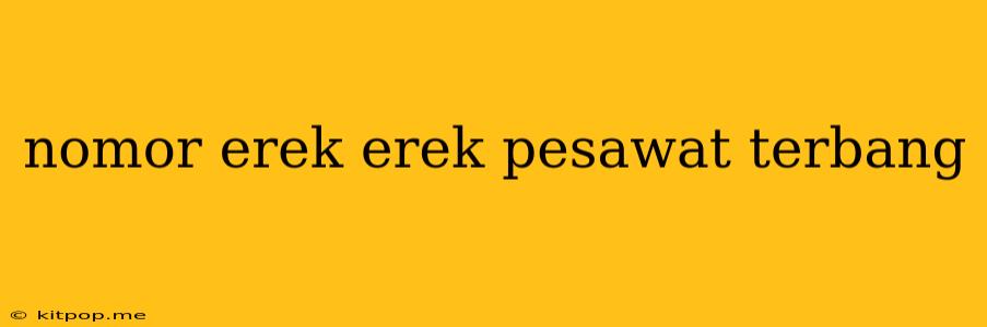 Nomor Erek Erek Pesawat Terbang