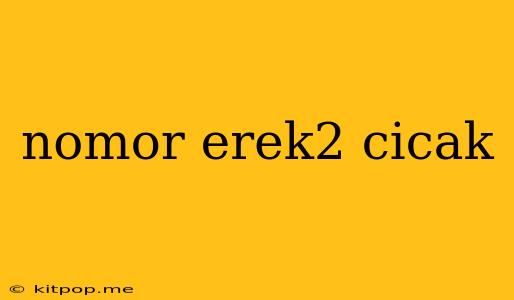 Nomor Erek2 Cicak