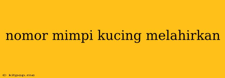 Nomor Mimpi Kucing Melahirkan