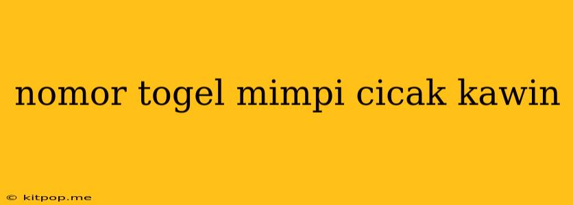 Nomor Togel Mimpi Cicak Kawin