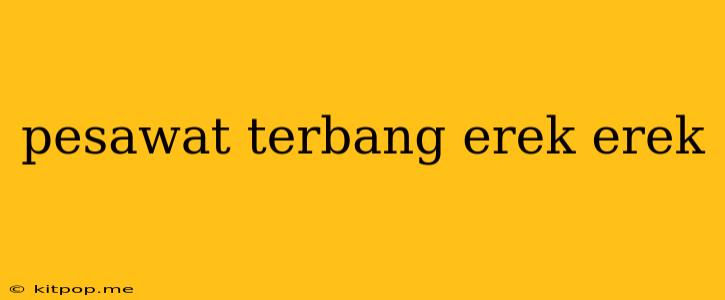 Pesawat Terbang Erek Erek