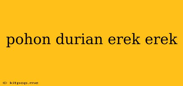 Pohon Durian Erek Erek