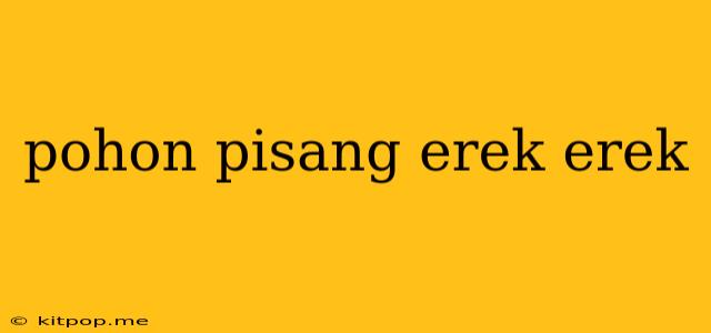 Pohon Pisang Erek Erek