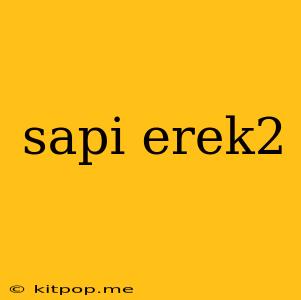 Sapi Erek2