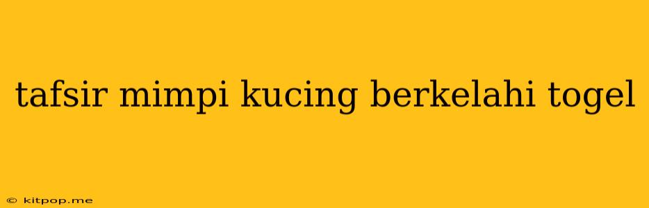 Tafsir Mimpi Kucing Berkelahi Togel