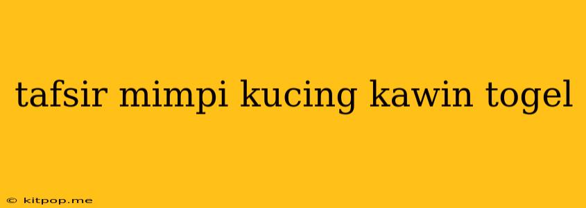 Tafsir Mimpi Kucing Kawin Togel