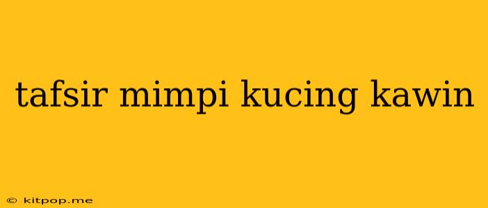 Tafsir Mimpi Kucing Kawin